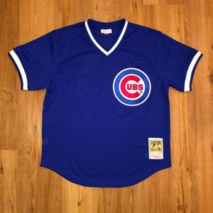 Mitchell Ness Chicago Cubs Ryne Sandberg Jersey 23